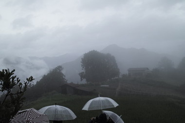 _SDI3774.JPG